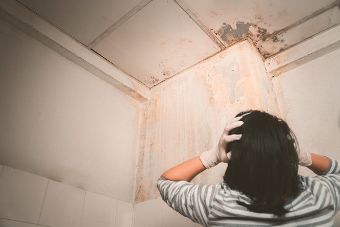 PILPERCA - ¡Entérate! Patologías constructivas; Cuáles son las más comunes - FOTO