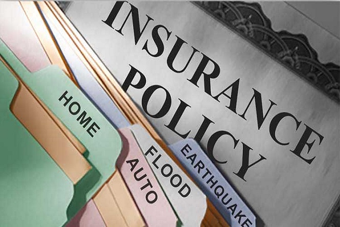 Hjalmar Gibelli - ¡Conócelos! ¡Los tipos de seguros más solicitados en el mundo! - FOTO